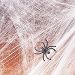 Non-Flammable Stretchable Spiderwebs
