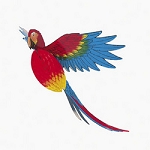 Jumbo Parrot