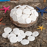 Genuine Sand Dollars in Basket