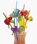 Hibiscus Straws
